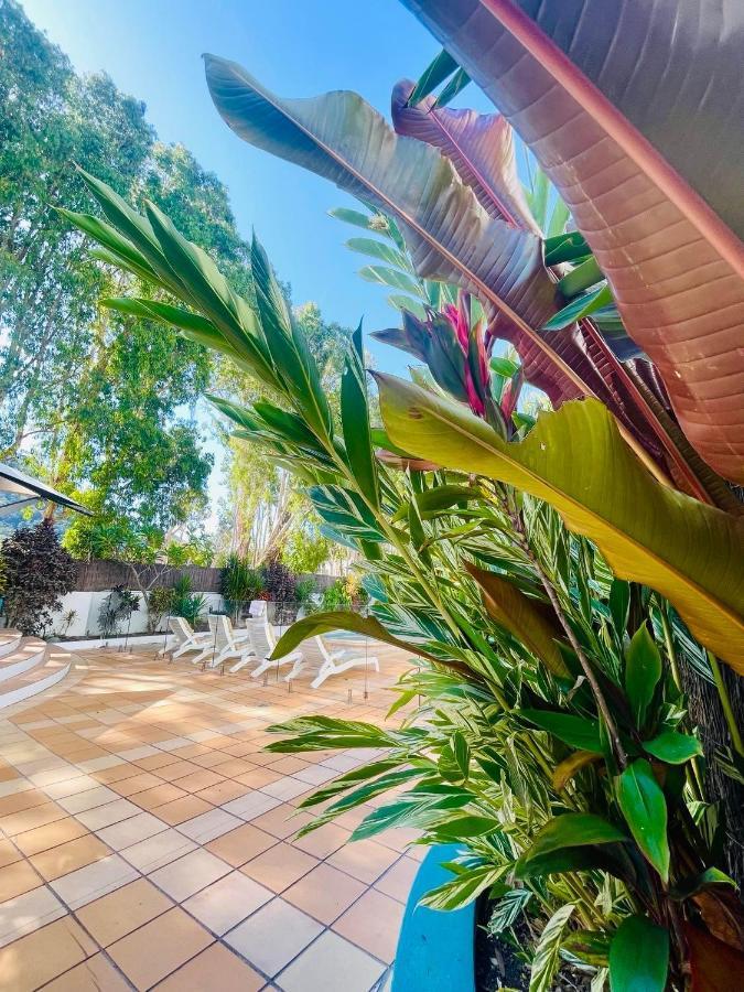 Beachview Apartments At Villa Paradiso Palm Cove Exterior photo